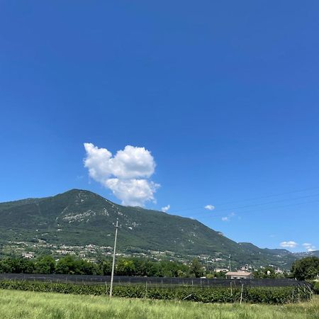 카프리노 베로네세 La Casa In Collina 아파트 외부 사진