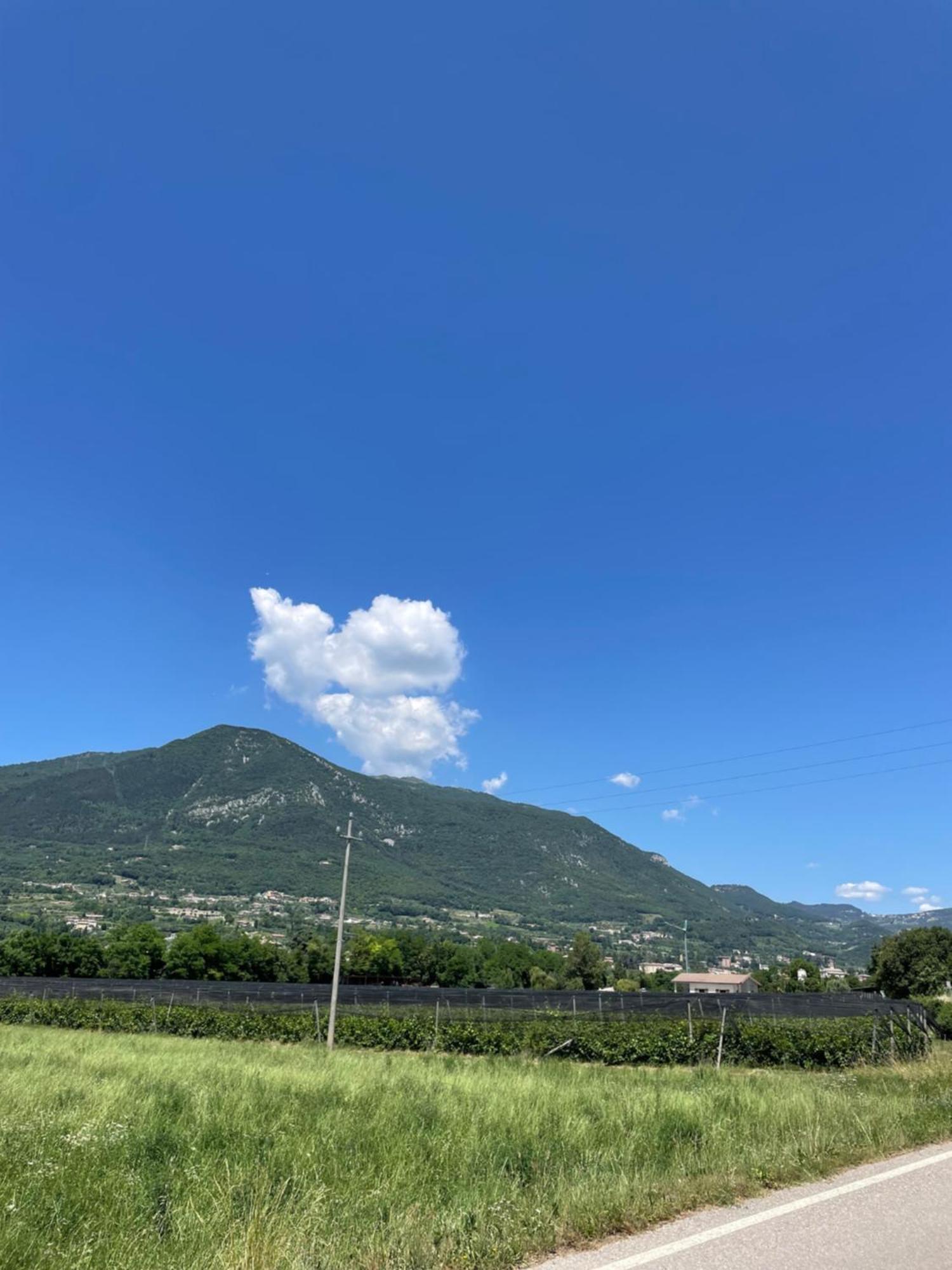 카프리노 베로네세 La Casa In Collina 아파트 외부 사진